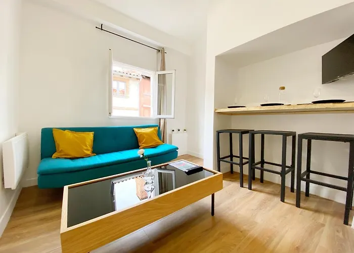 Hypercentre 9 Toulousain Climatisé Tolosa