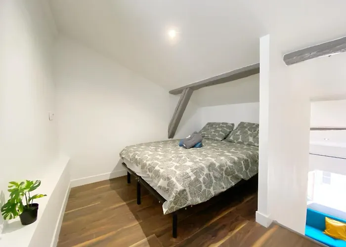 Hypercentre 9 Toulousain Climatise